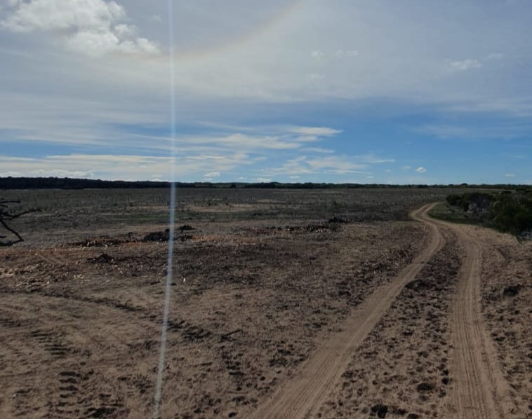 0 Bedroom Property for Sale in Riversdale Rural Western Cape